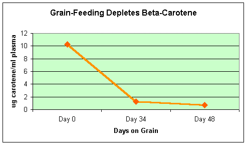 grain-feeding depletes beta-carotene
