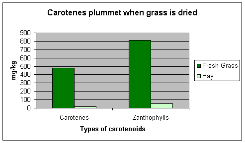 carotenes plummet when grass is dried