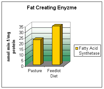 Fat Creating Enzyme