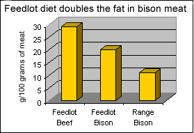Feedlot diet doubles the fat in bison meat
