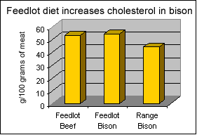 Feedlot diet increases cholesterol in bison