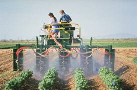 spraying